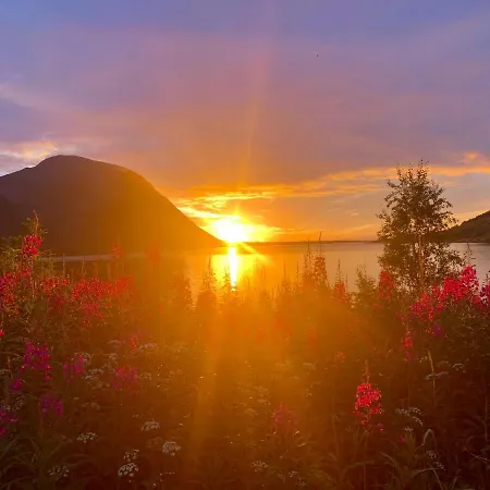Lofoten Red * Laupstad