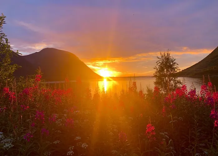 Lofoten Red * Laupstad